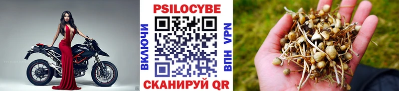Галлюциногенные грибы прущие грибы  Купить где  Чебоксары