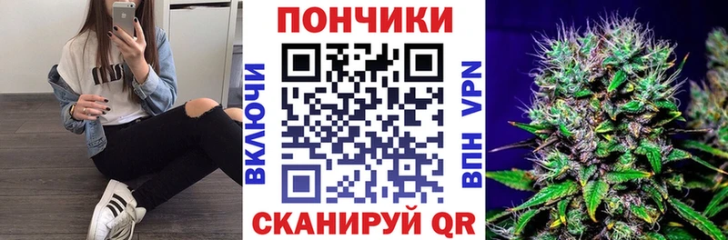 Бошки марихуана планчик  Купить закладки  Чебоксары 